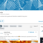 Capital Panda Linkedin