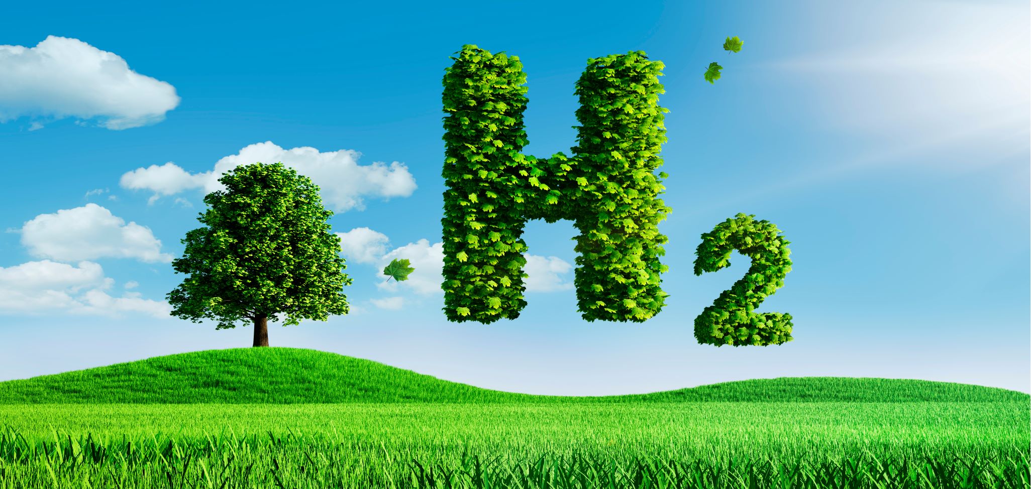 Trader Magazine - Green hydrogen is to bring $20 billion ...