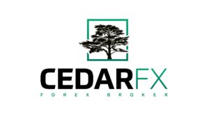 CedarFX review