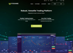 foxane trading platform