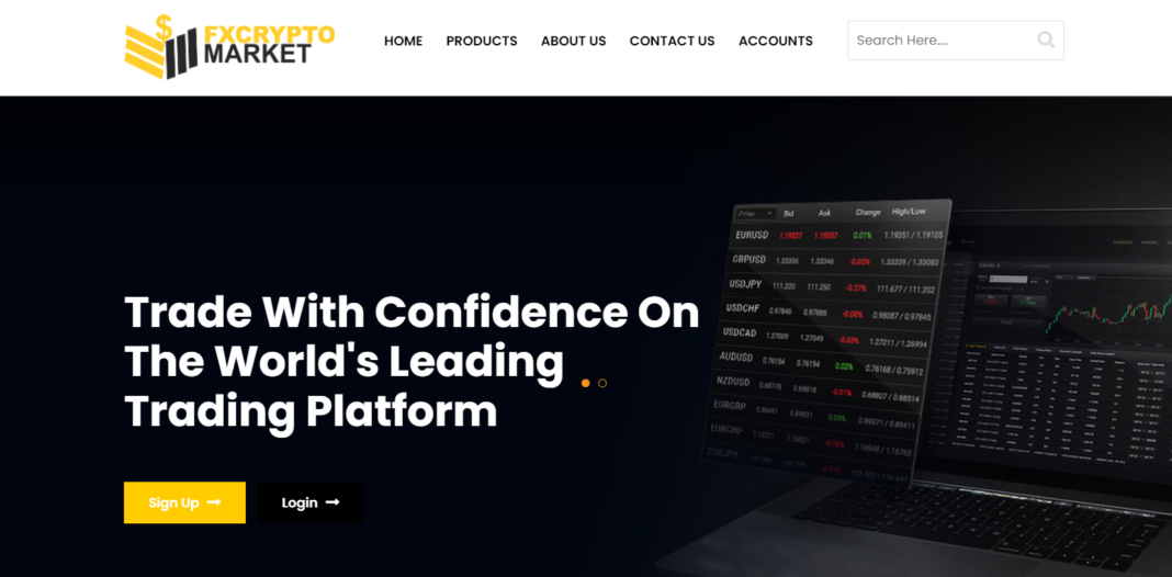 Fx Crypto Market review (2022)