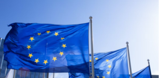 What led Eurozone banks to abandon EPI plans