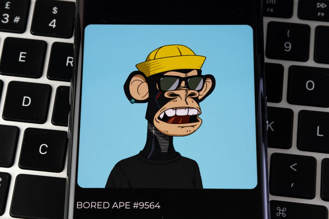 bored ape yacht club, NFT, BAYC