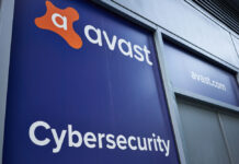 avest, usa, us, cybersecurity, data, user data