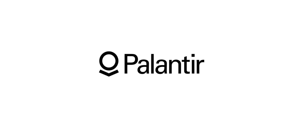 Palantir Technologies: data analysis and artificial intelligence