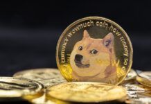 Billy Markus Net Worth: Why the Dogecoin Founder Didn’t Get Rich Dogecoin.
