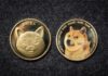 Shiba Inu vs. Dogecoin: Která meme kryptoměna má větší budoucnost? Shiba Inu vs Dogecoin.
