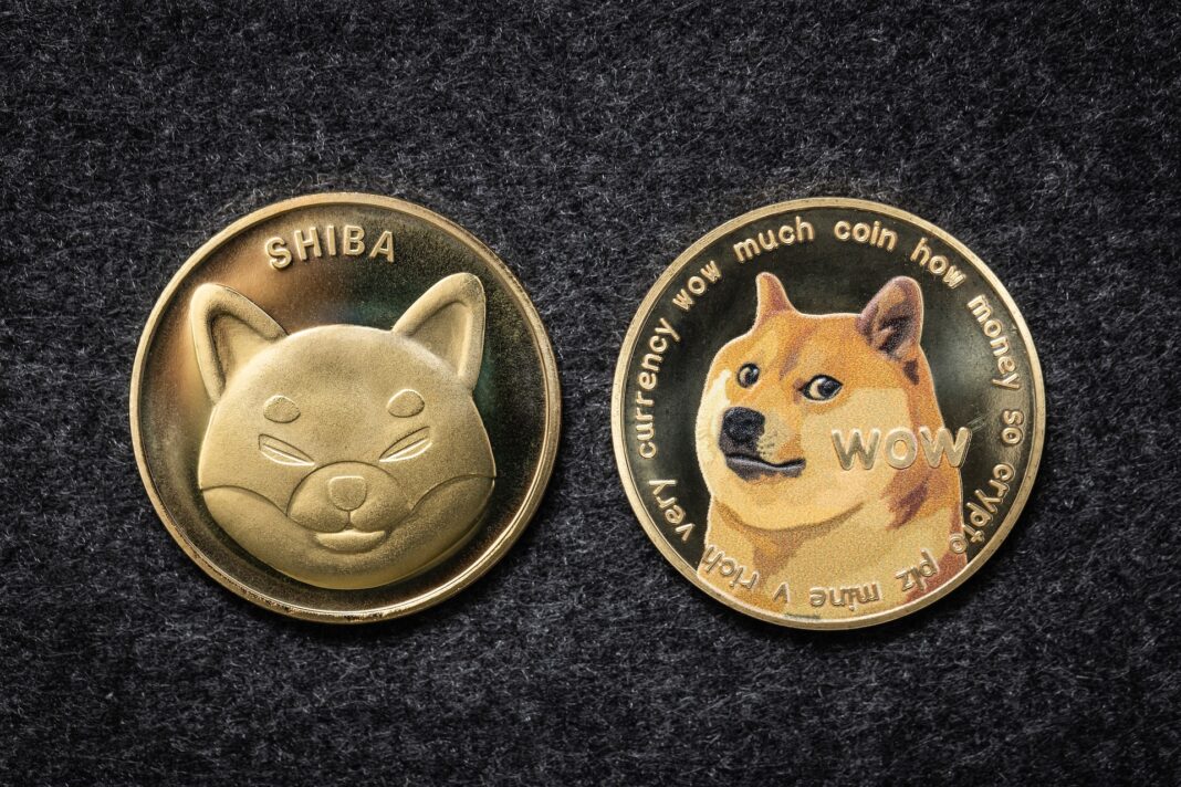 Shiba Inu vs Dogecoin.