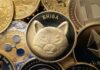 Dosáhne Shiba Inu 1 centu? Tvrdá čísla ukazují, proč je to pro většinu investorů jen iluze Shiba Inu coin.